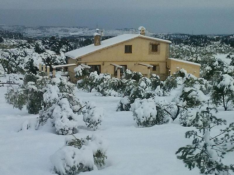 Mas Arboretum Villa La Pobla de Cervoles Luaran gambar